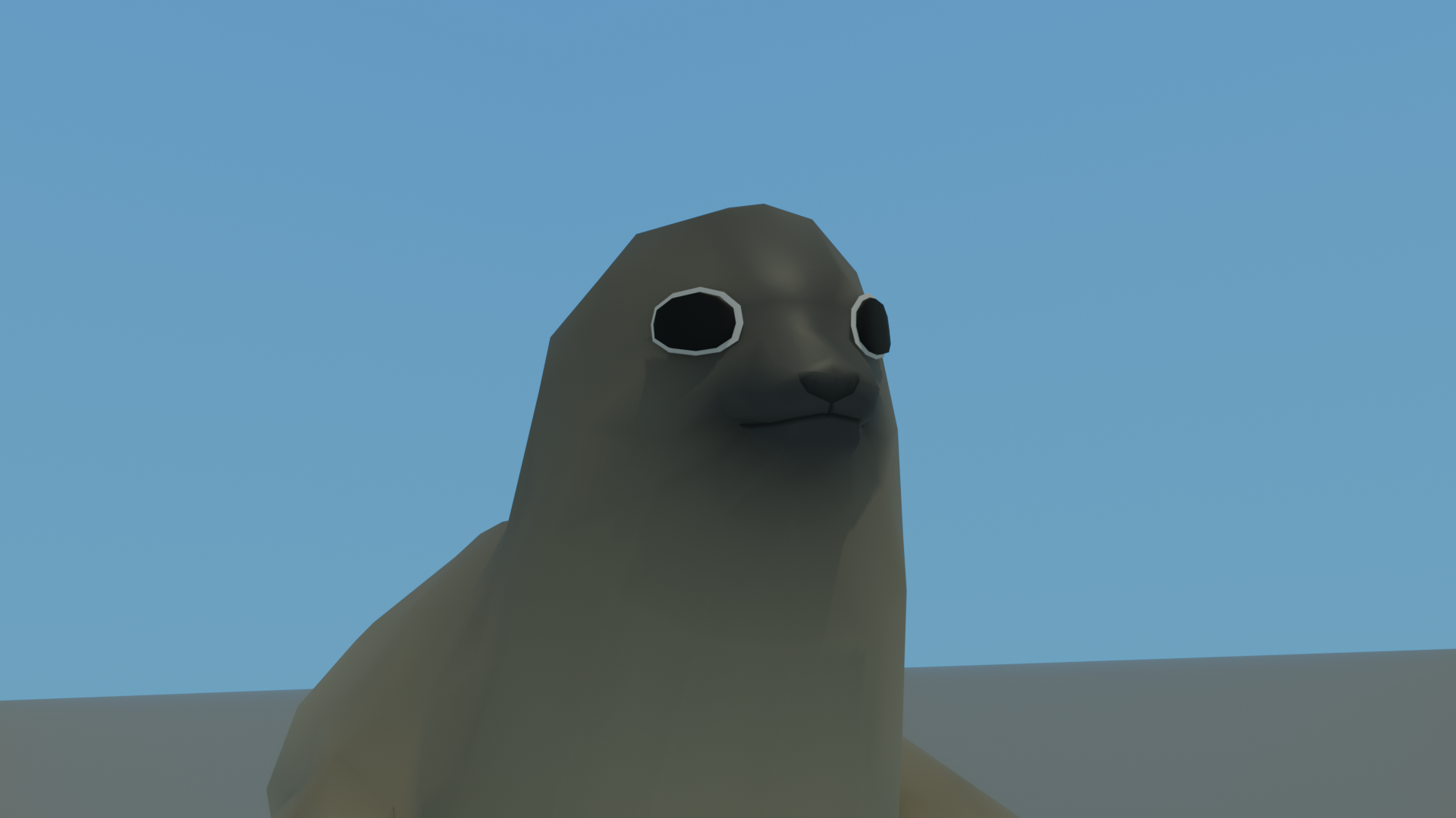 harbor seal in front of sky